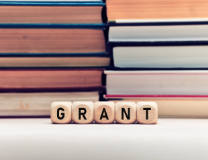 Third edition of the Competition “Grants for Future” for Distinguished Students of the Faculty of International and Political Studies
