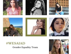 The Gender Equality Team